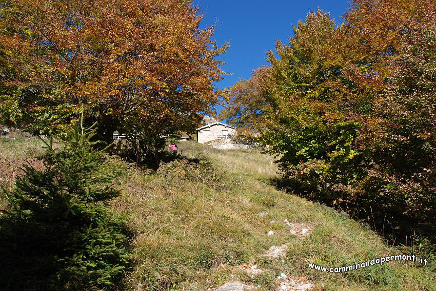 09 12583 Cascina Matuida.JPG
